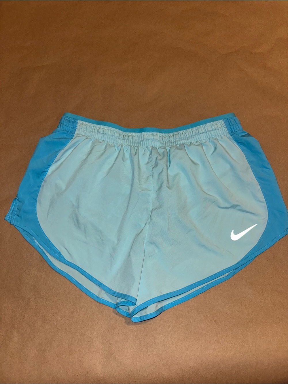 Nike Women's Light Blue and Teal Athletic Running Shorts